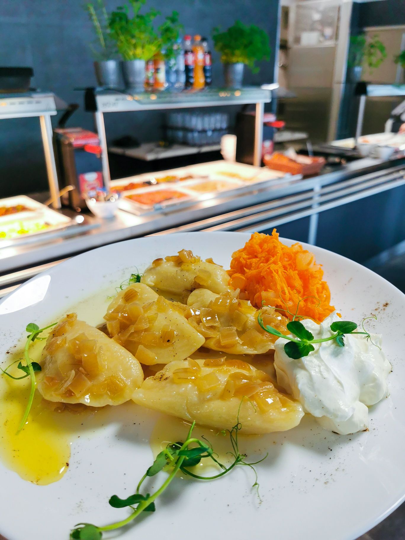 Delicious courses of Polish cuisine